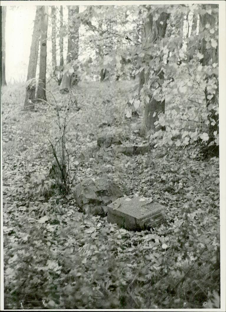 Karta cmentarza, skan nr 5