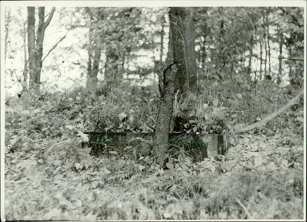 Karta cmentarza, skan nr 6