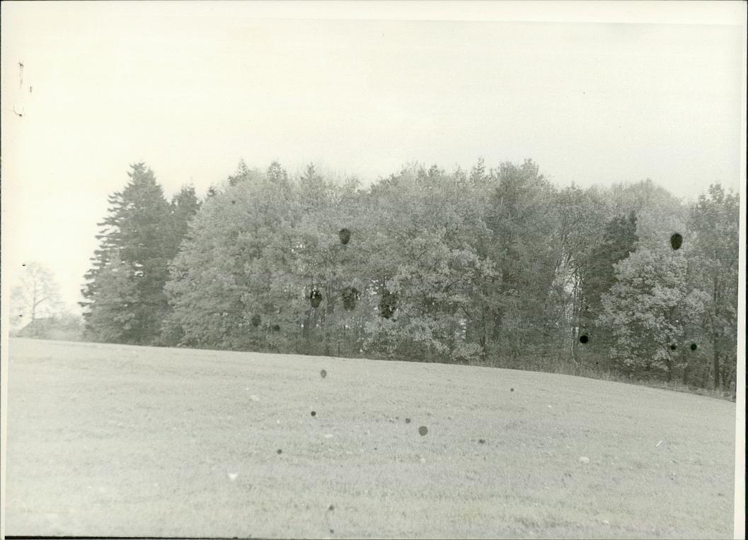 Karta cmentarza, skan nr 8