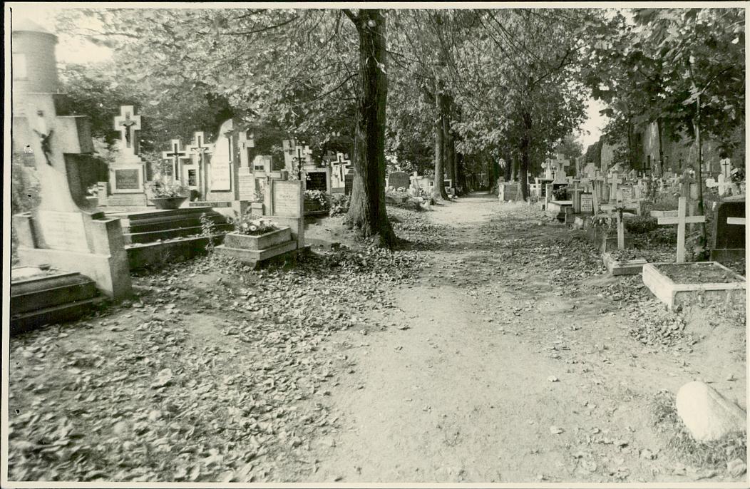 Karta cmentarza, skan nr 11