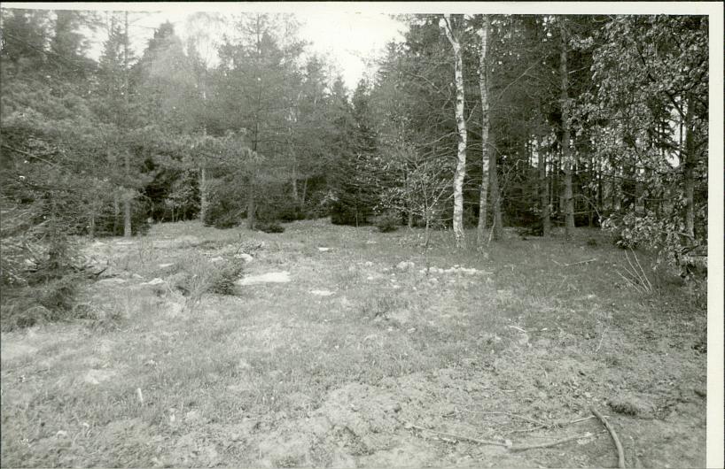 Karta cmentarza, skan nr 5