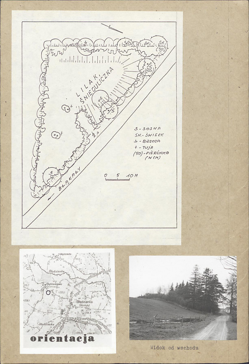 Karta cmentarza, skan nr 3