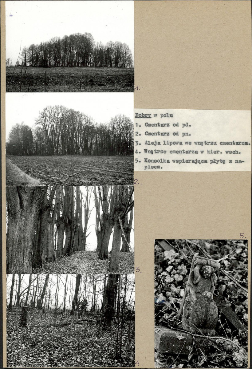 Karta cmentarza, skan nr 4