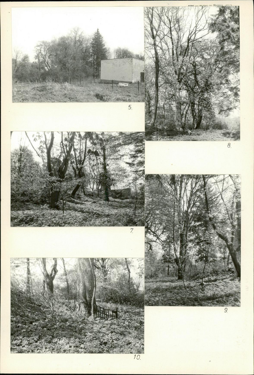 Karta cmentarza, skan nr 5