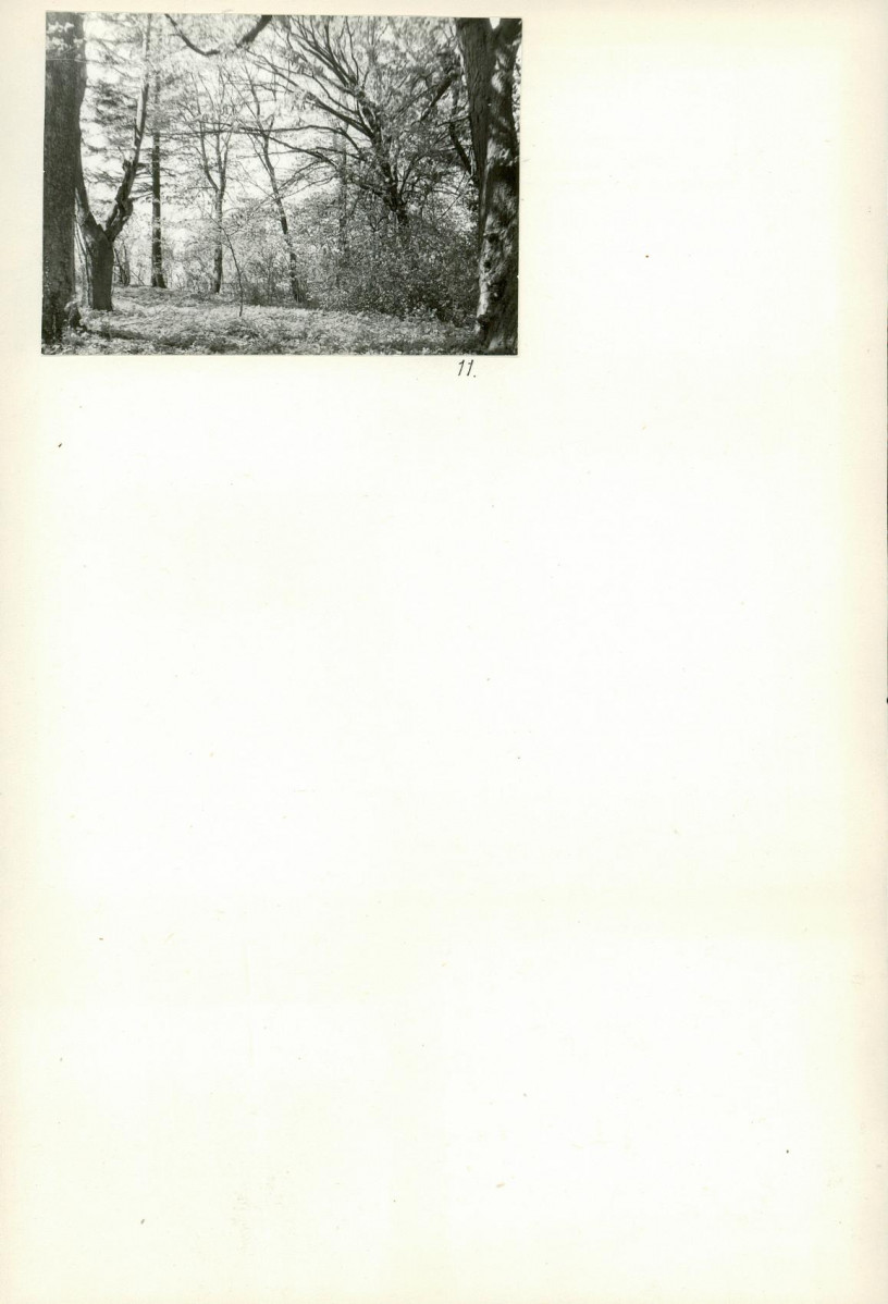 Karta cmentarza, skan nr 6