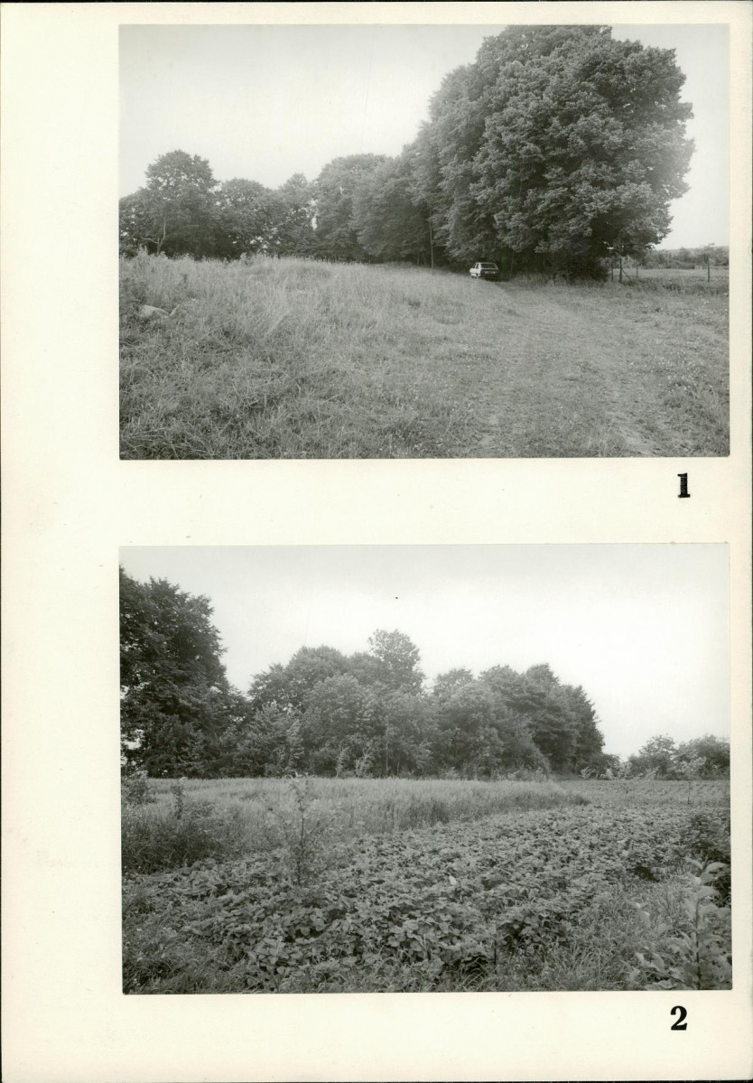 Karta cmentarza, skan nr 5