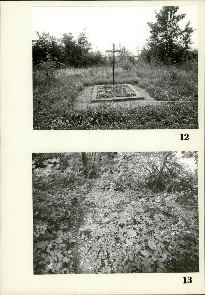 Karta cmentarza, skan nr 11