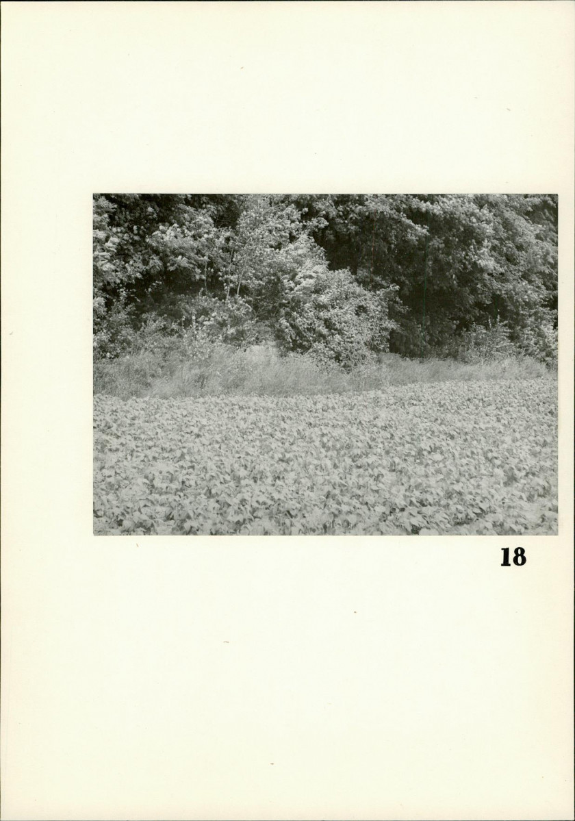 Karta cmentarza, skan nr 14