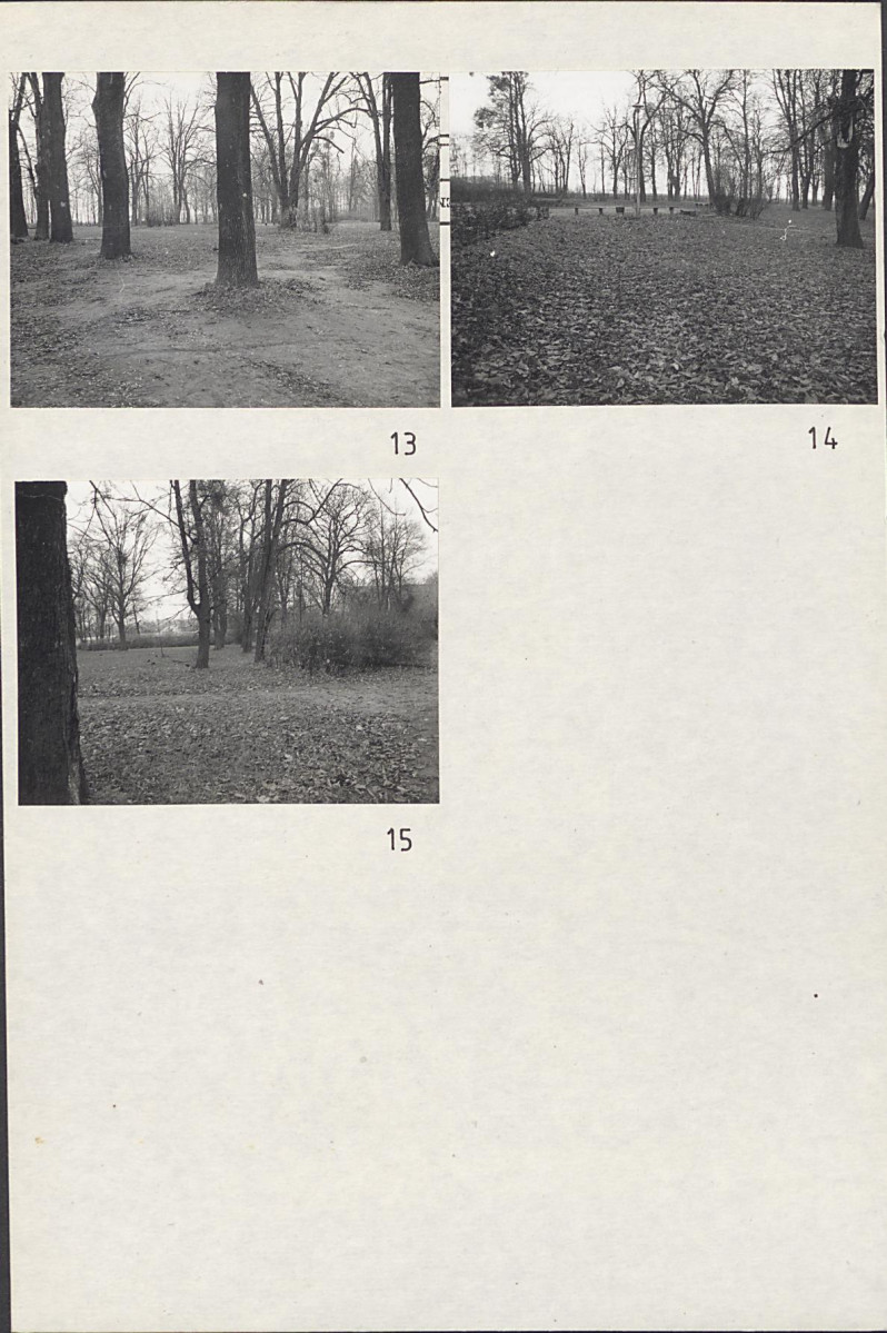 Karta cmentarza, skan nr 6