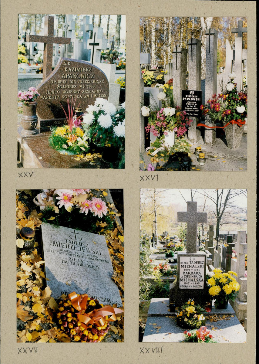 Karta cmentarza, skan nr 14