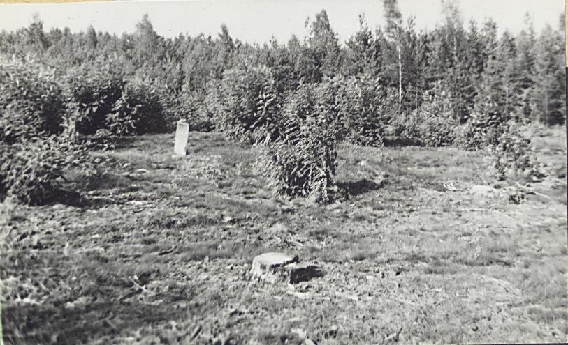 Karta cmentarza, skan nr 5