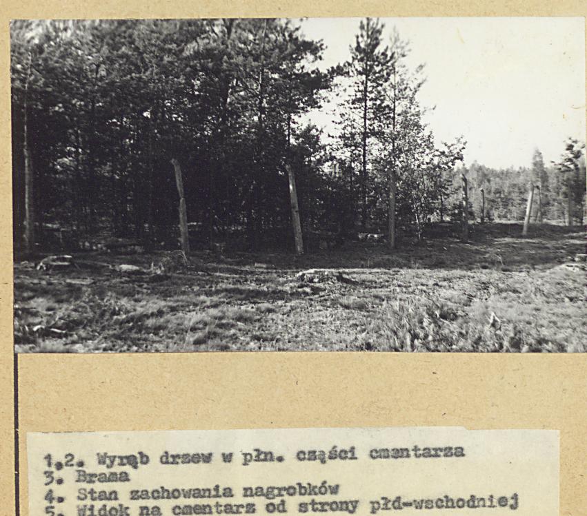 Karta cmentarza, skan nr 8