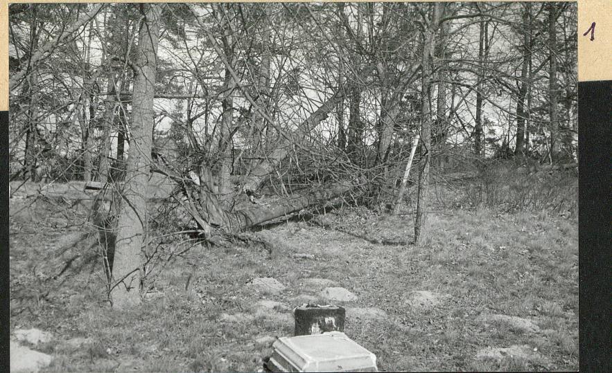 Karta cmentarza, skan nr 6