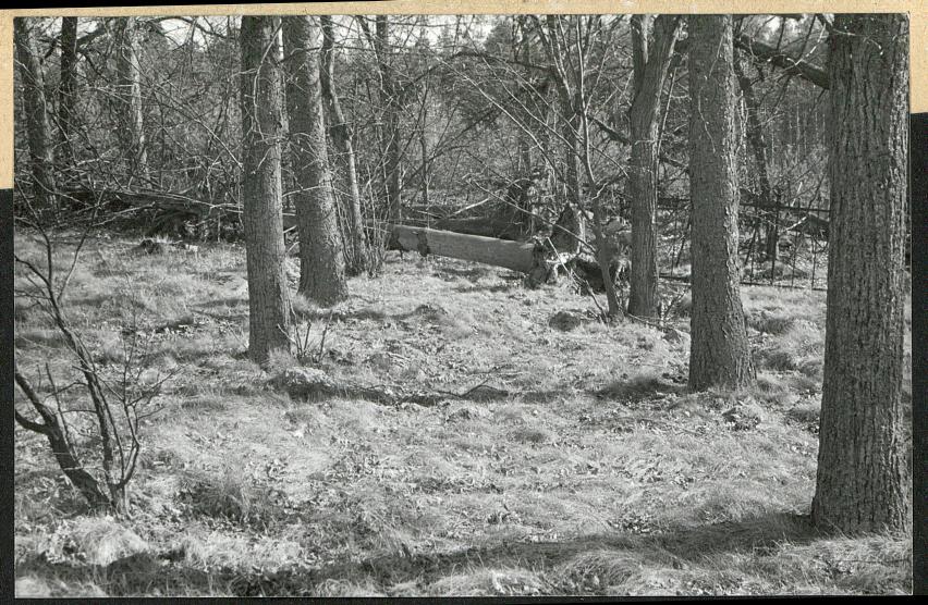 Karta cmentarza, skan nr 7