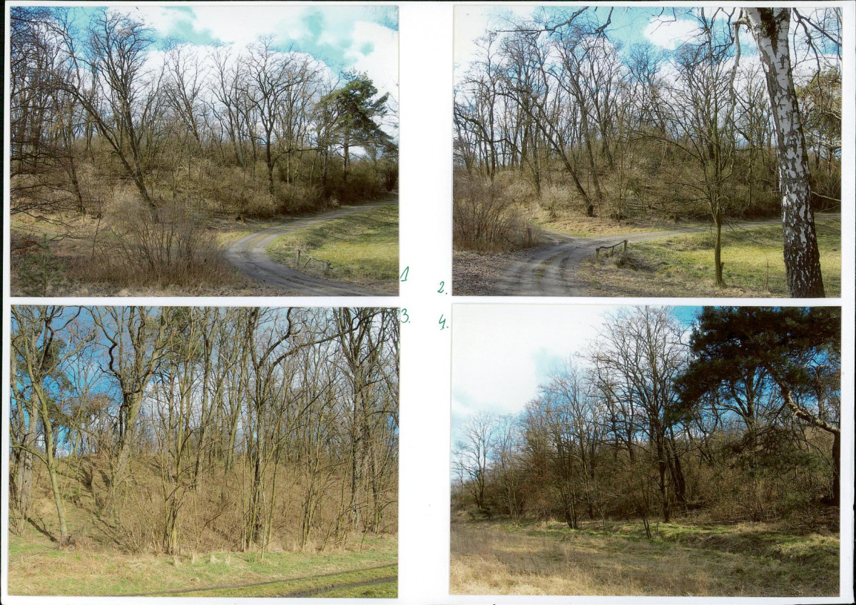 KC - Karta cmentarza, skan nr 5