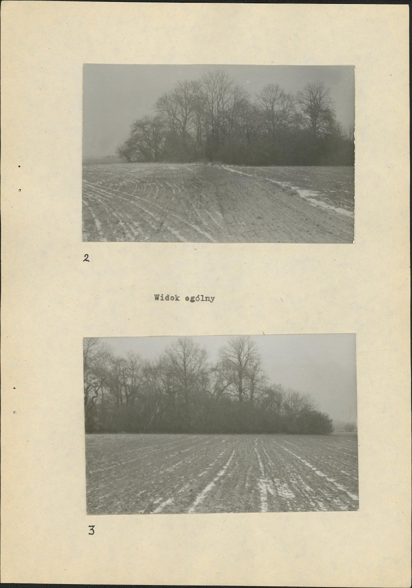 Karta cmentarza, skan nr 7