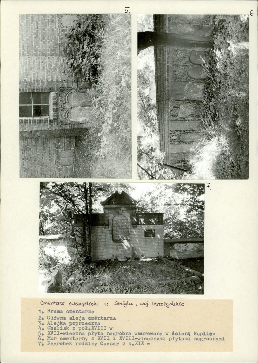 Karta cmentarza, skan nr 13