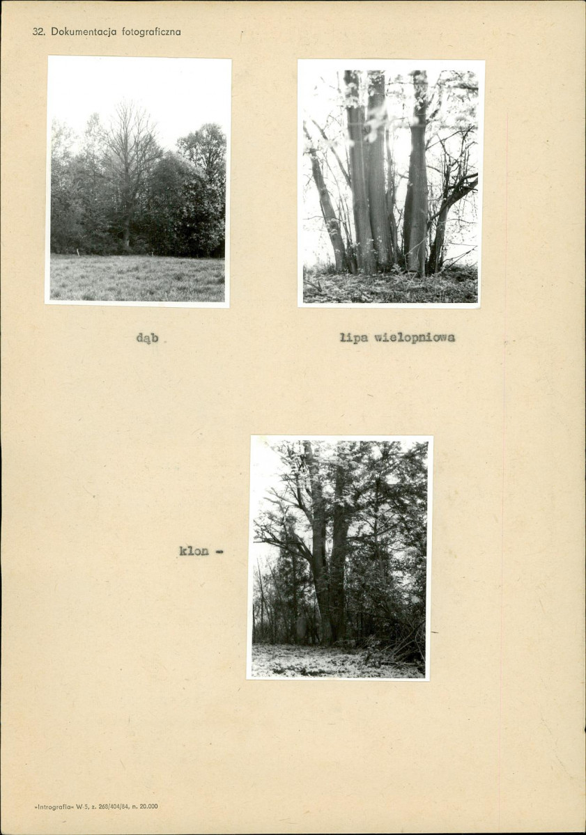 Karta cmentarza, skan nr 5