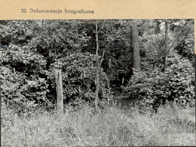 Karta cmentarza, skan nr 4
