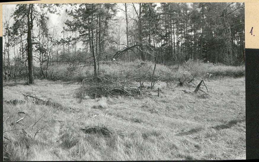 Karta cmentarza, skan nr 6