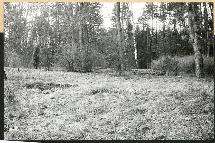 Karta cmentarza, skan nr 5