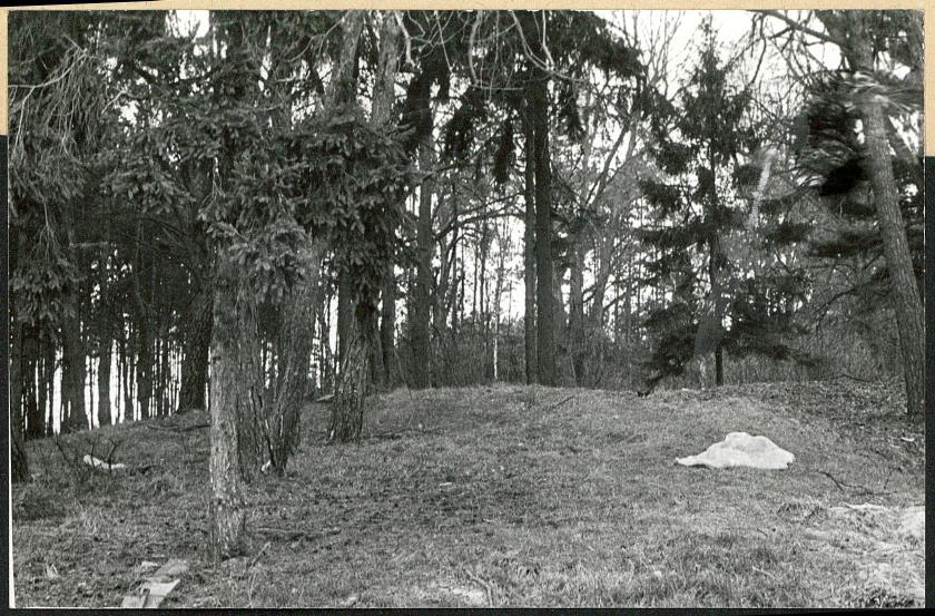 Karta cmentarza, skan nr 6