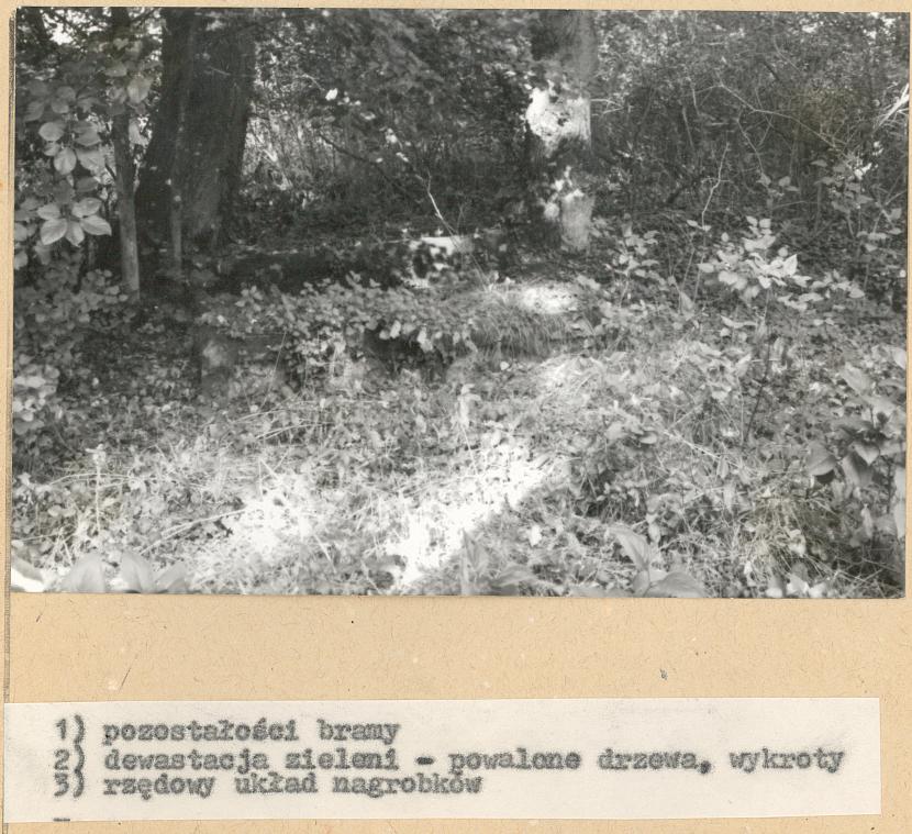 Karta cmentarza, skan nr 6