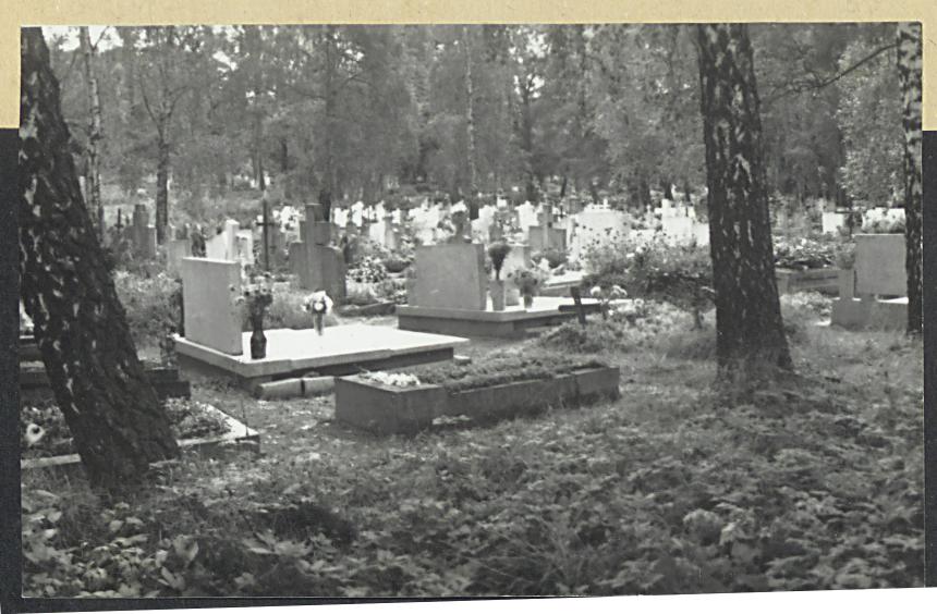 Karta cmentarza, skan nr 7