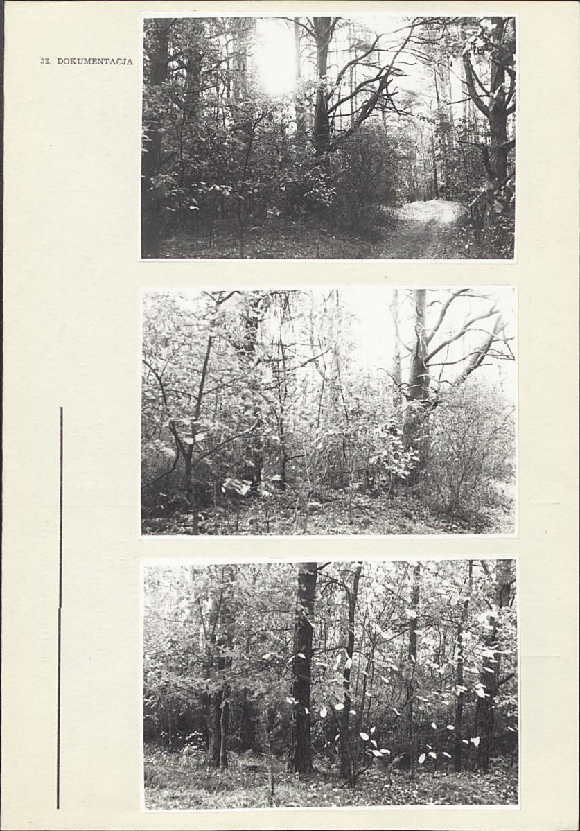 Karta cmentarza, skan nr 4