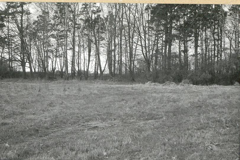 Karta cmentarza, skan nr 7