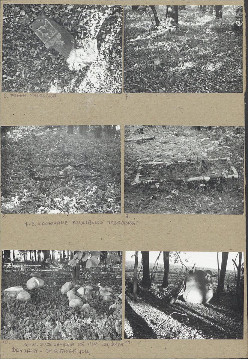 Karta cmentarza, skan nr 5