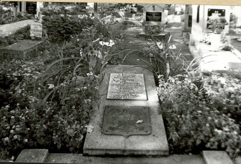 Karta cmentarza, skan nr 9