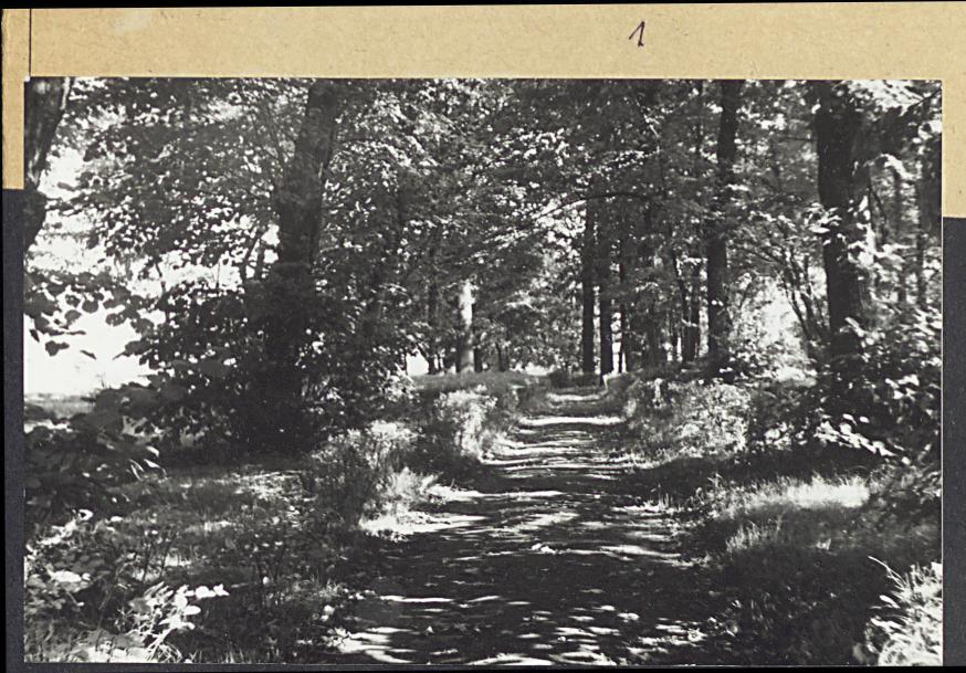Karta cmentarza, skan nr 5