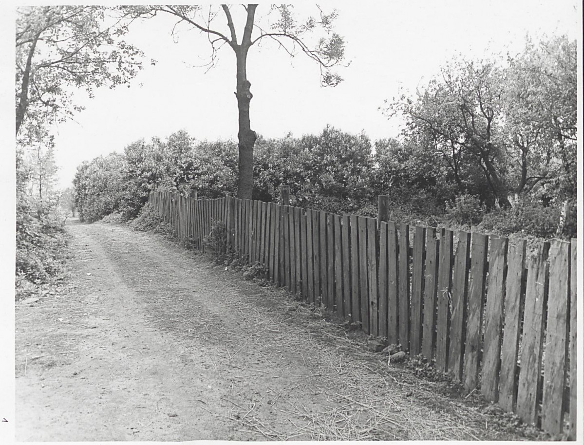 Karta cmentarza, skan nr 6