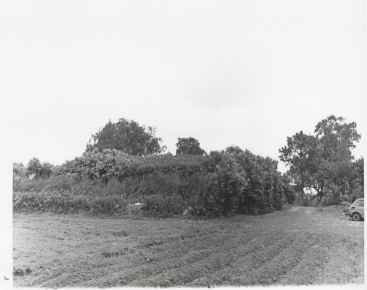 Karta cmentarza, skan nr 8