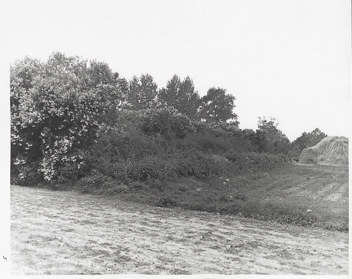 Karta cmentarza, skan nr 10