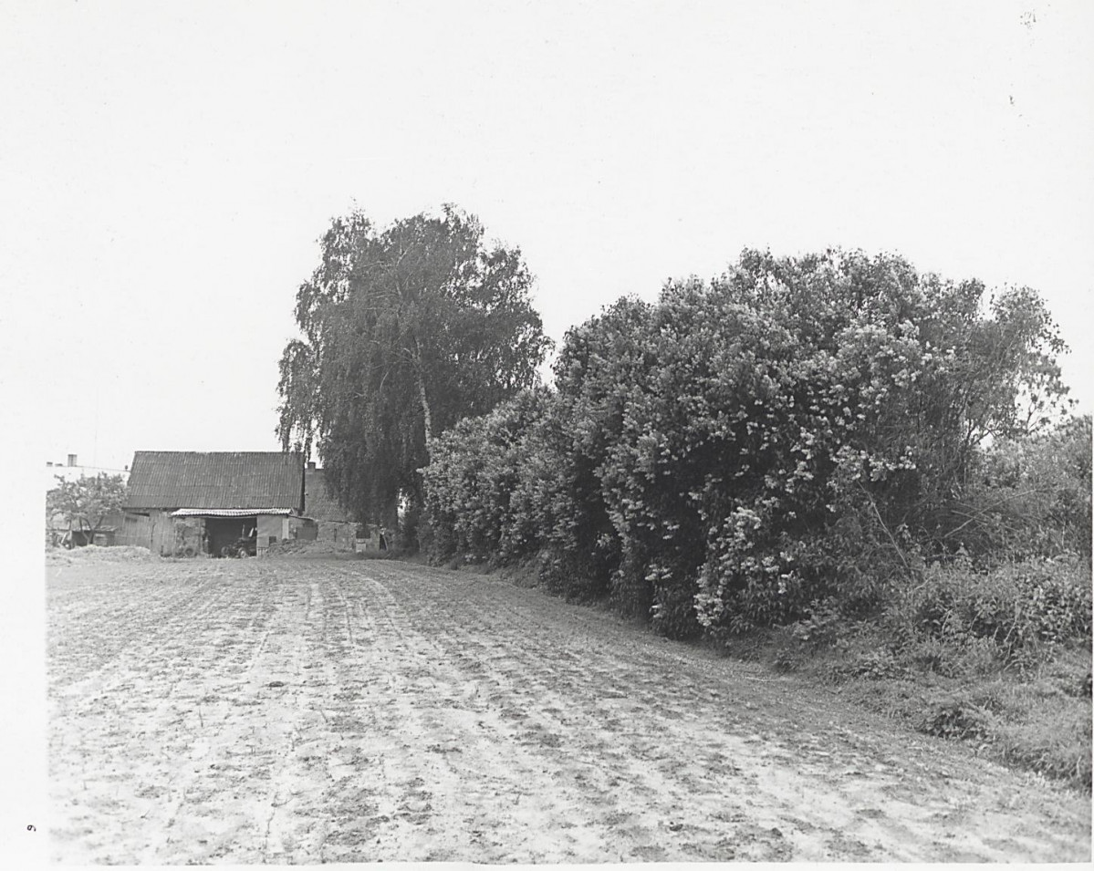 Karta cmentarza, skan nr 11