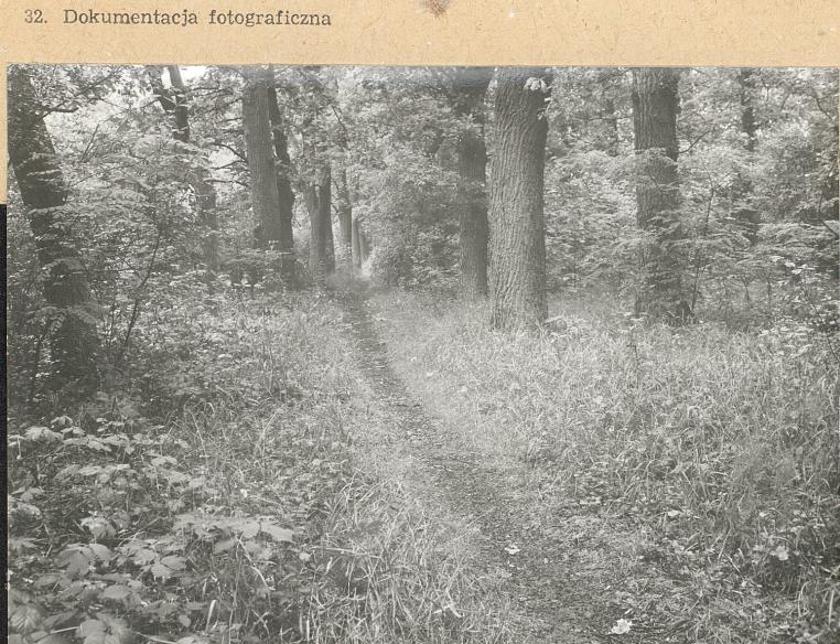 Karta cmentarza, skan nr 4