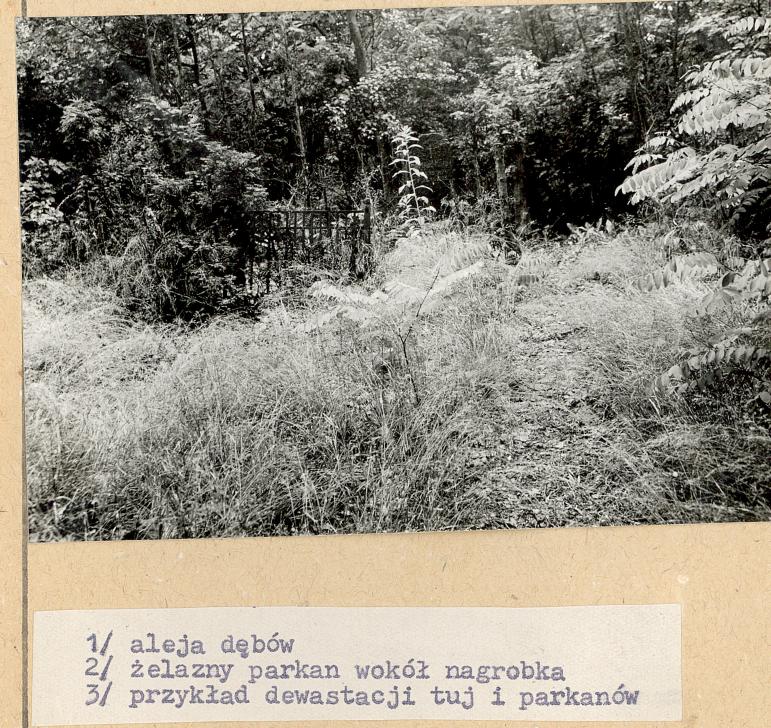 Karta cmentarza, skan nr 6