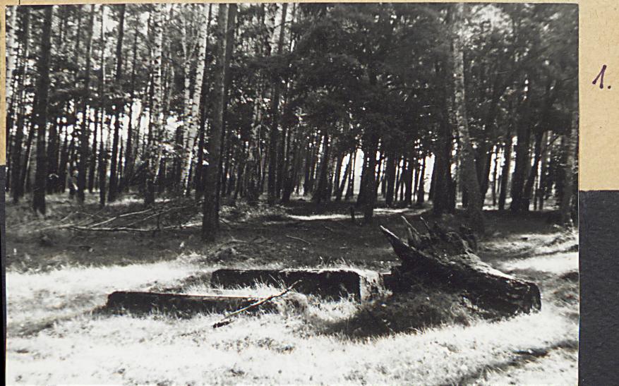 Karta cmentarza, skan nr 5