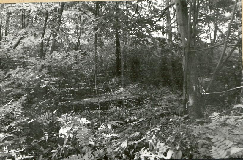 Karta cmentarza, skan nr 6