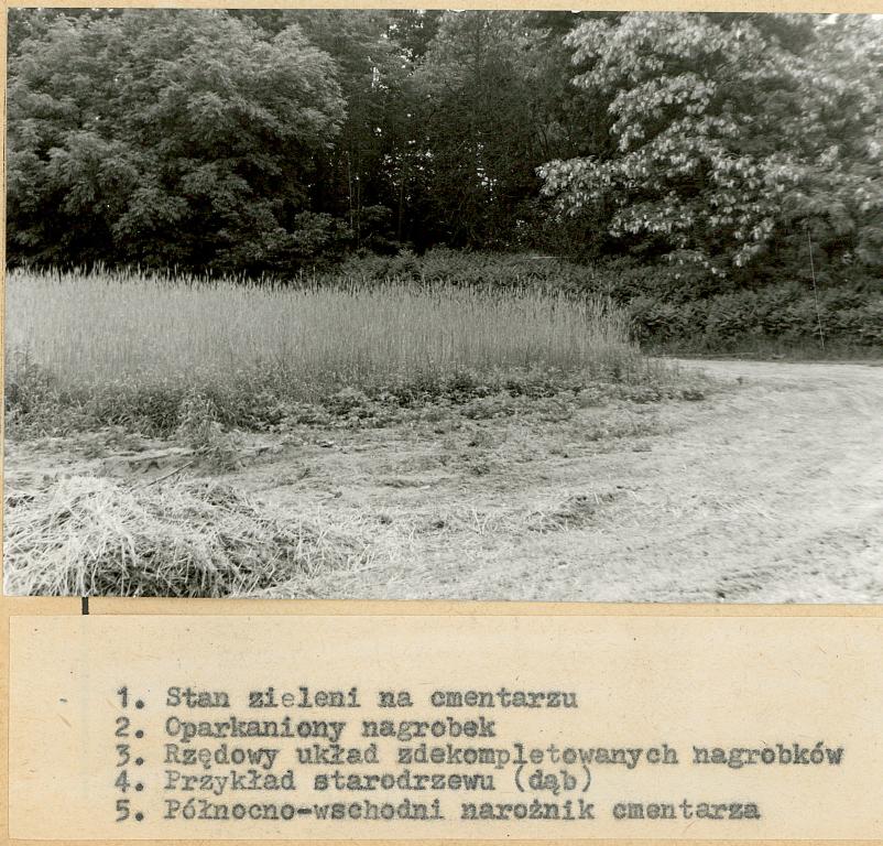 Karta cmentarza, skan nr 8