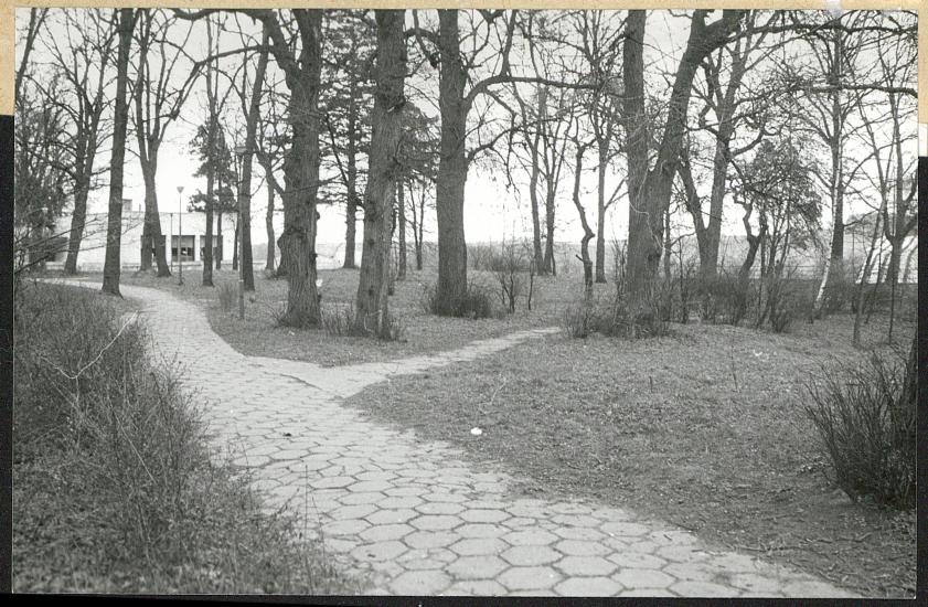 Karta cmentarza, skan nr 6