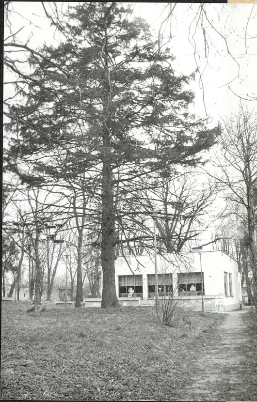 Karta cmentarza, skan nr 8