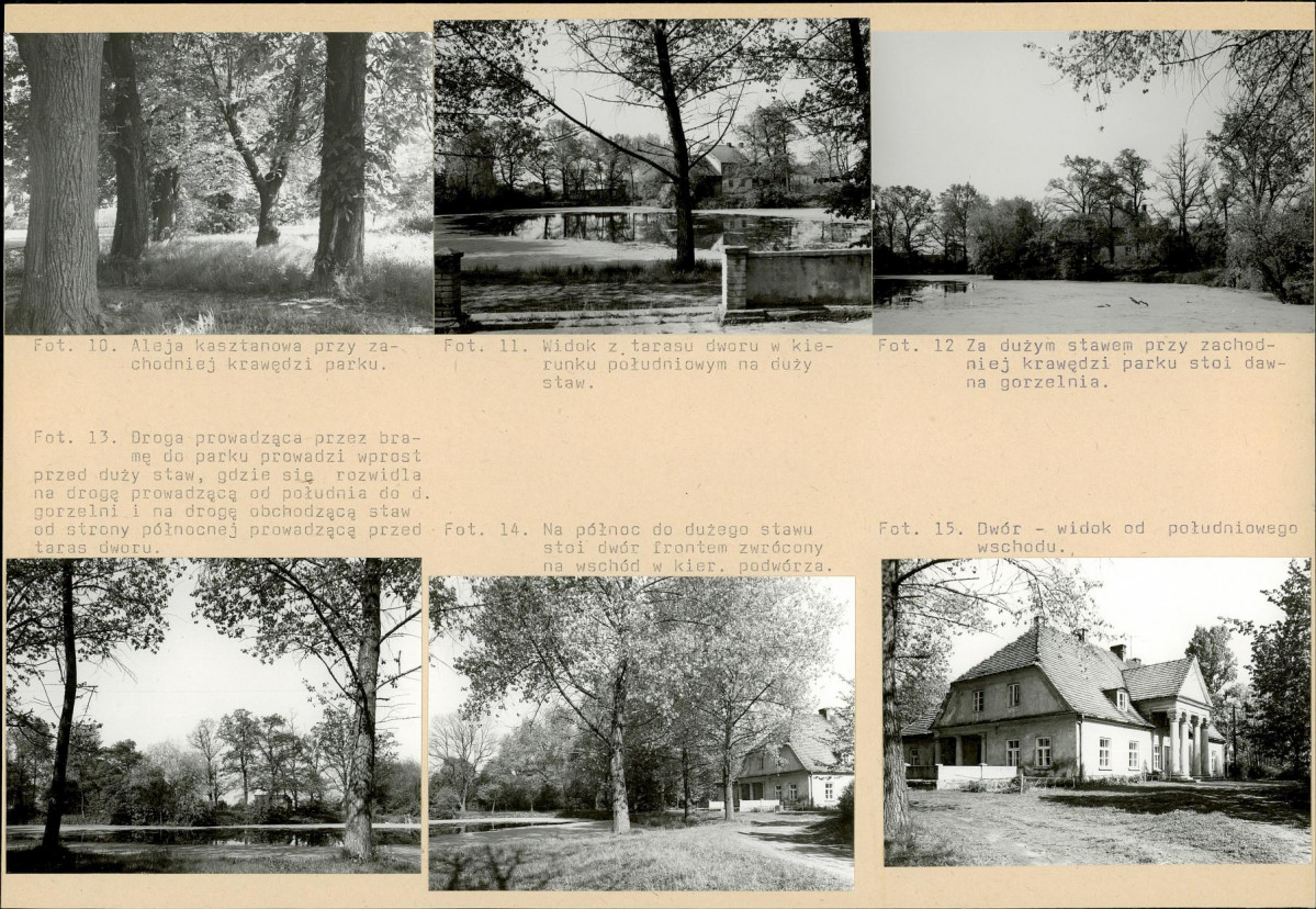 Karta biała, skan nr 10