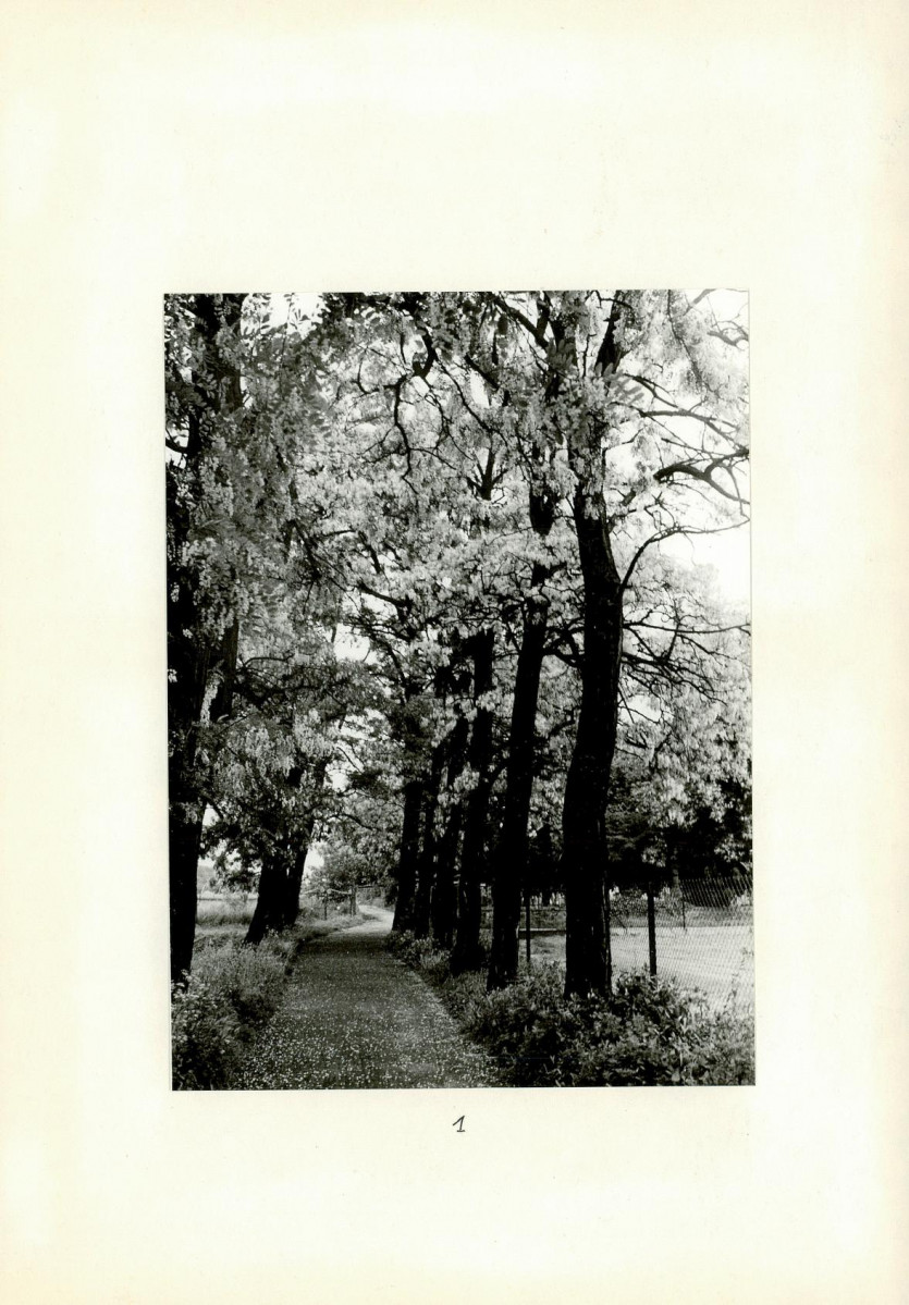 Karta cmentarza, skan nr 5