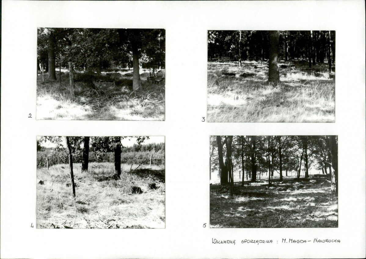 KC - Karta cmentarza, skan nr 6
