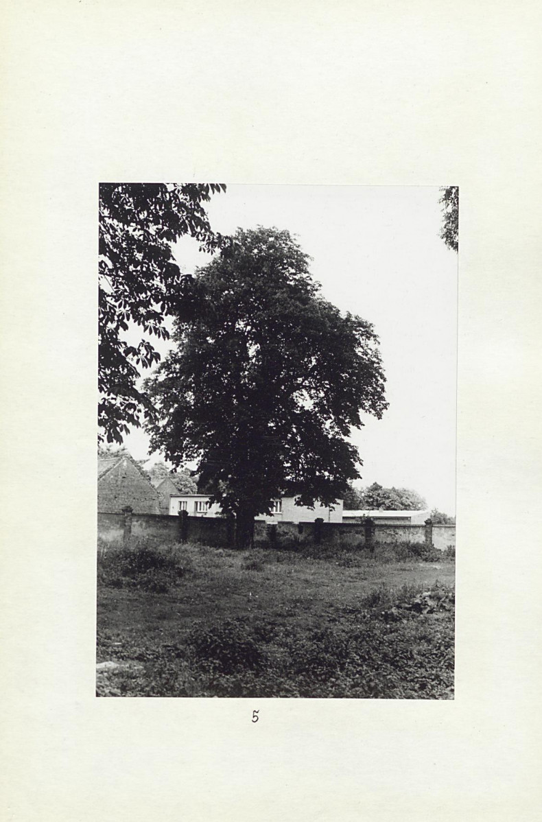 Karta cmentarza, skan nr 9