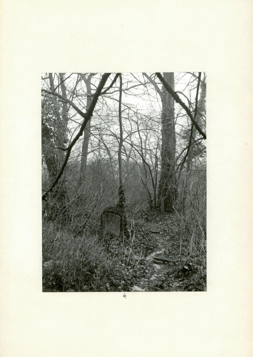 Karta cmentarza, skan nr 7