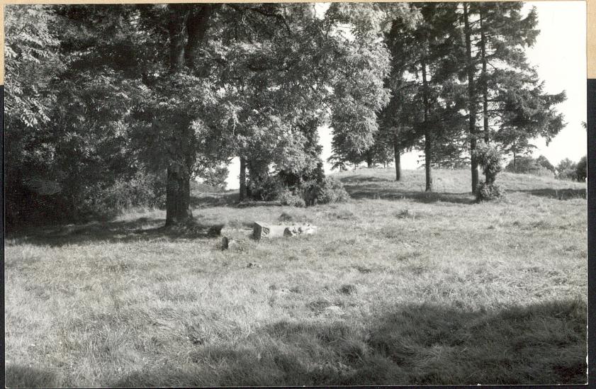 Karta cmentarza, skan nr 5